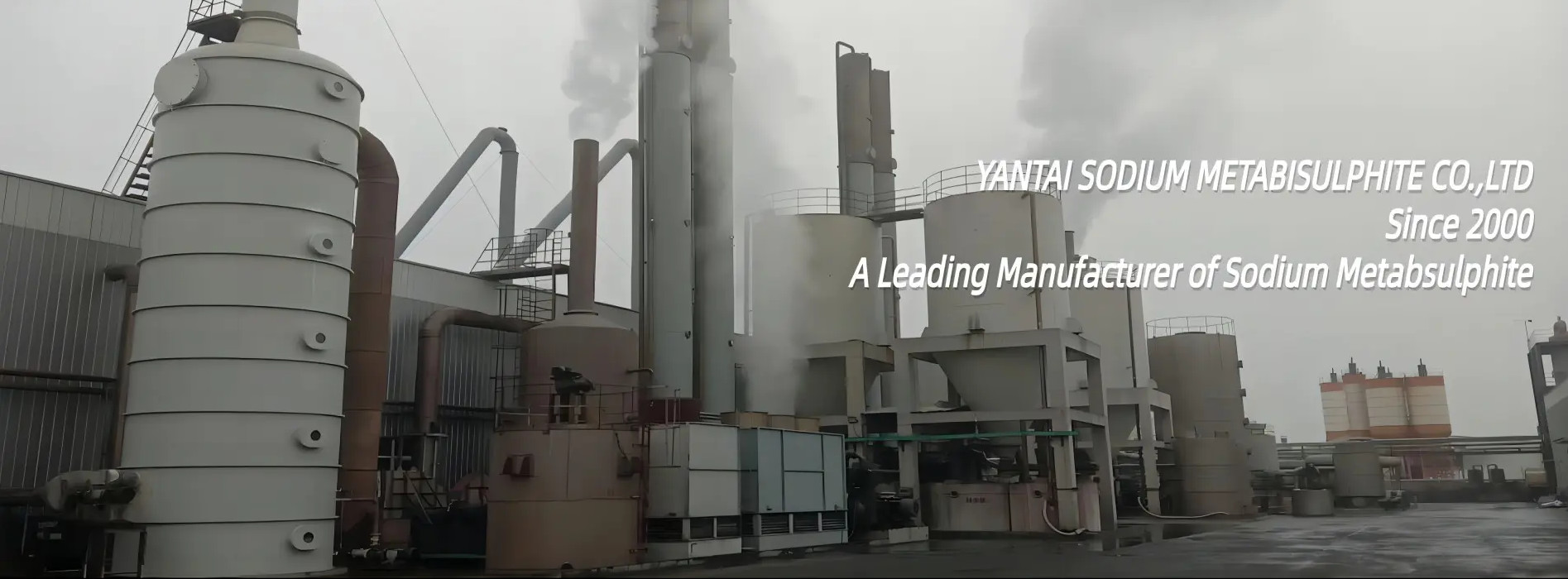 quality Sodium Metabisulfite Category factory